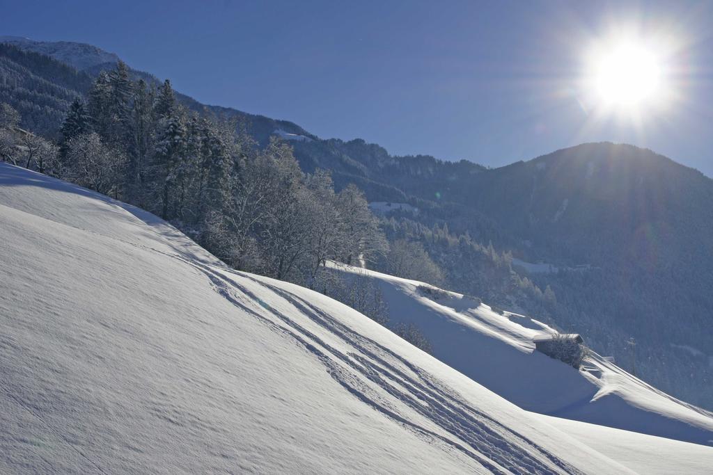 Haus Alpenfriede Lejlighed Ramsau im Zillertal Eksteriør billede